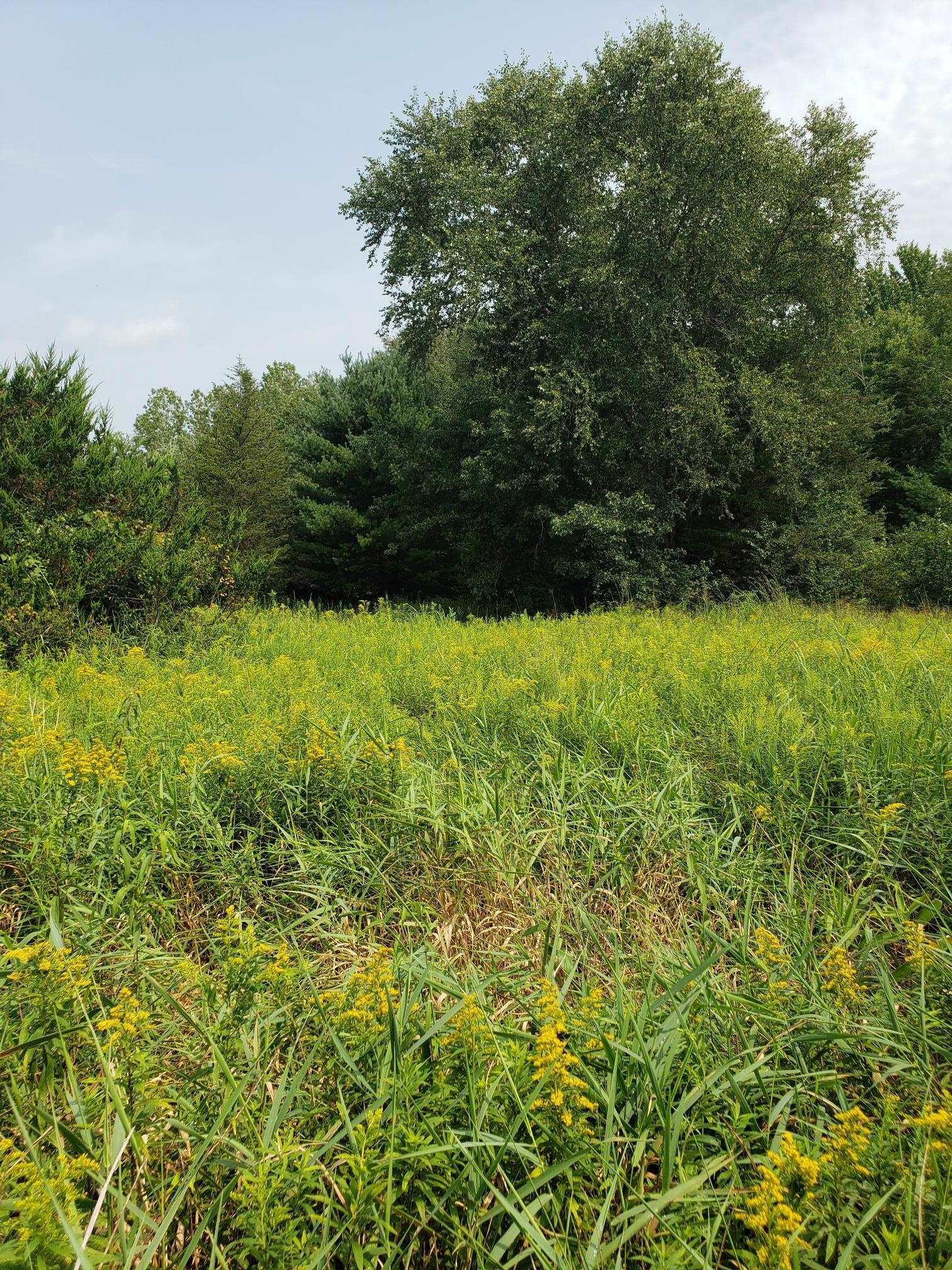 N7712 Church Road Portage, WI 53901 - Photo 24 of 44 Gallery Image 24