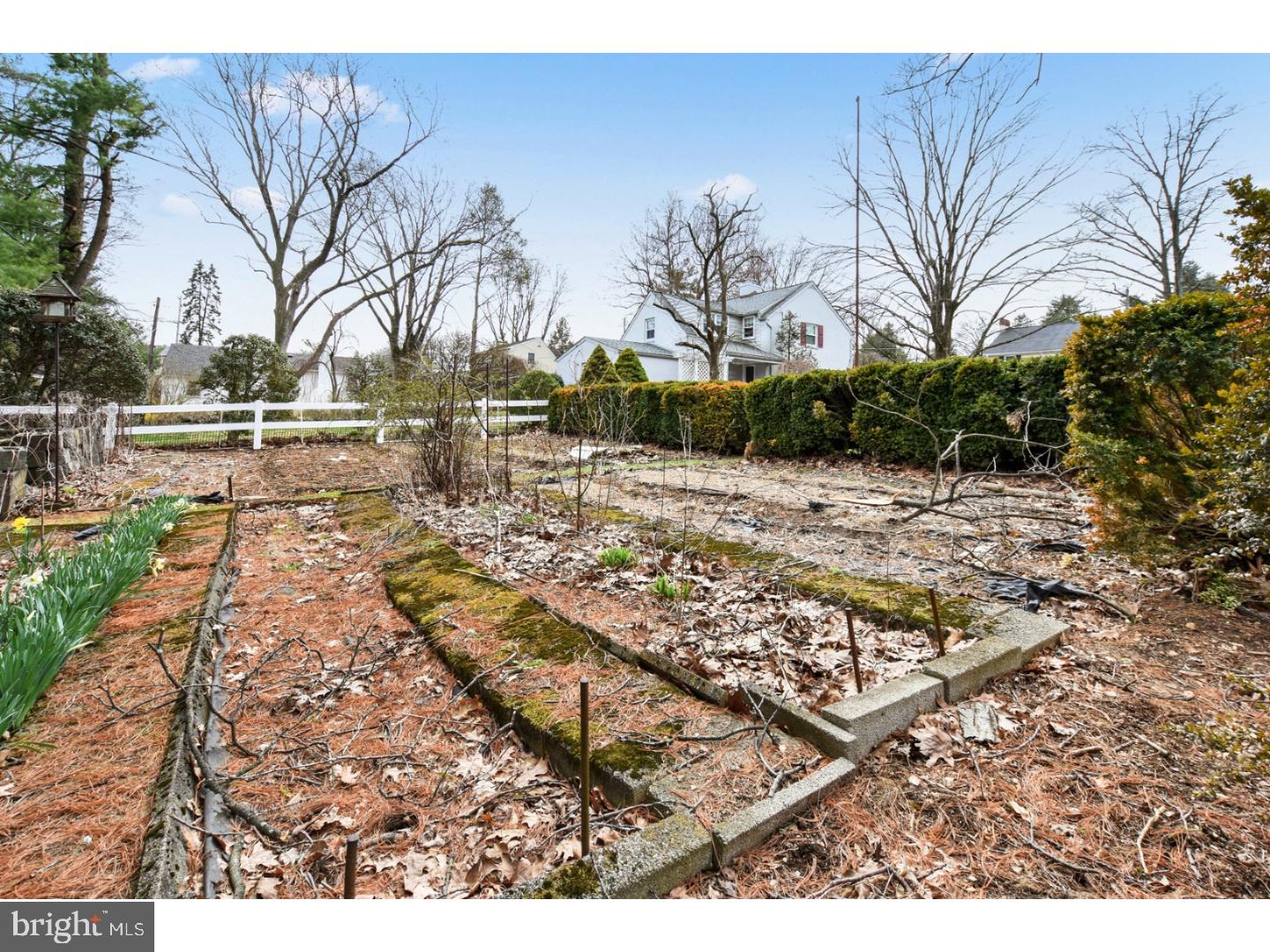 105 Arlington Road Paoli, PA 19301 - Photo 22 of 23 Garden