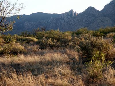 0 Oberlon Road Cochise, AZ 85606 - Photo 1 of 5