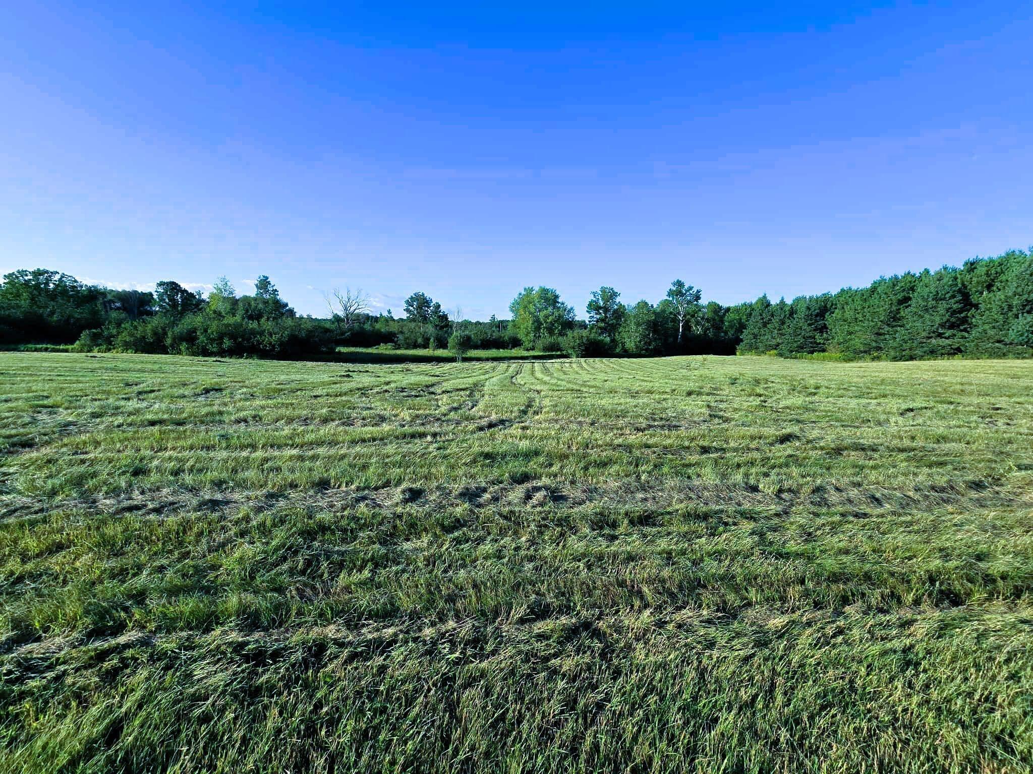 Na County Rd O Bruce, WI 54819 - Photo 9 of 50