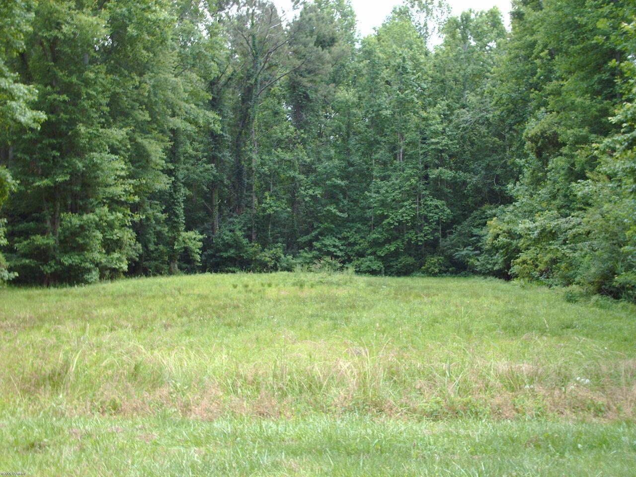 203 Clipper Point Way Newport, NC 28570 - Photo 1 of 1 view of lot