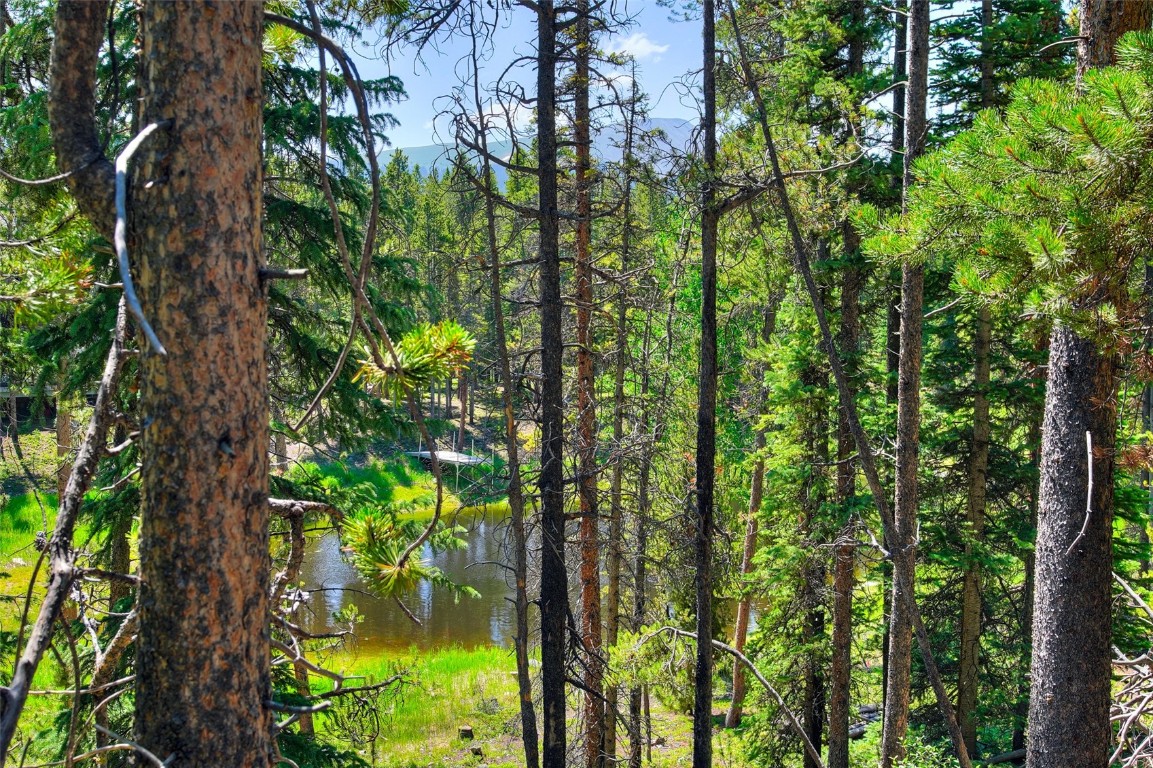 158 Bryce Estates Road Breckenridge, CO 80424 - Photo 11 of 36 a backyard of a house with lots of green space