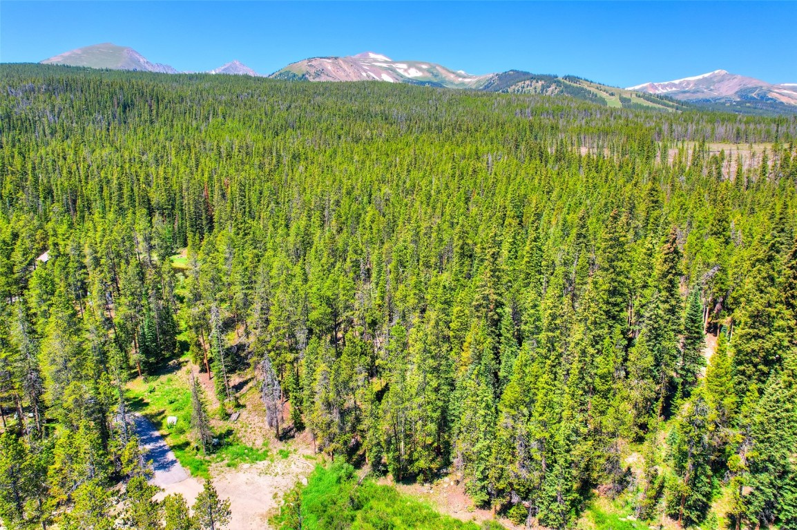 158 Bryce Estates Road Breckenridge, CO 80424 - Photo 16 of 36 a view of a lush green field with a mountain in the background