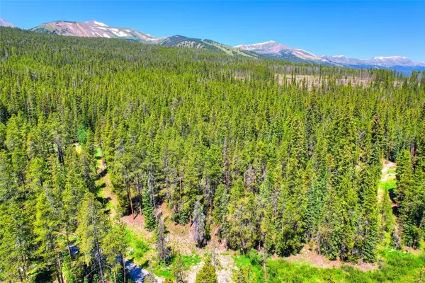 a view of a lush green field with a mountain in the background