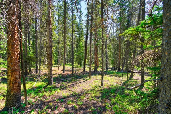 a view of park
