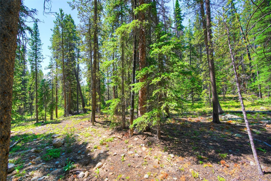 158 Bryce Estates Road Breckenridge, CO 80424 - Photo 21 of 36 a view of outdoor space and trees