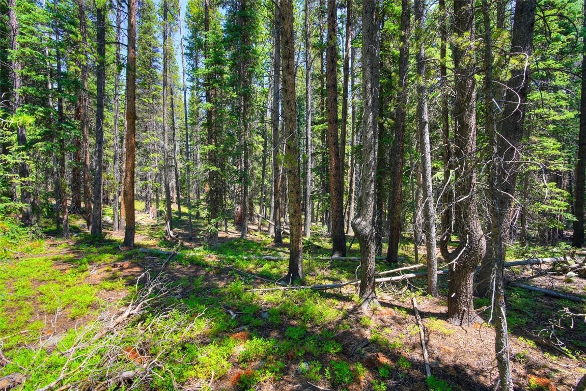 158 Bryce Estates Road Breckenridge, CO 80424 - Photo 24 of 36 a backyard of a house with lots of green space