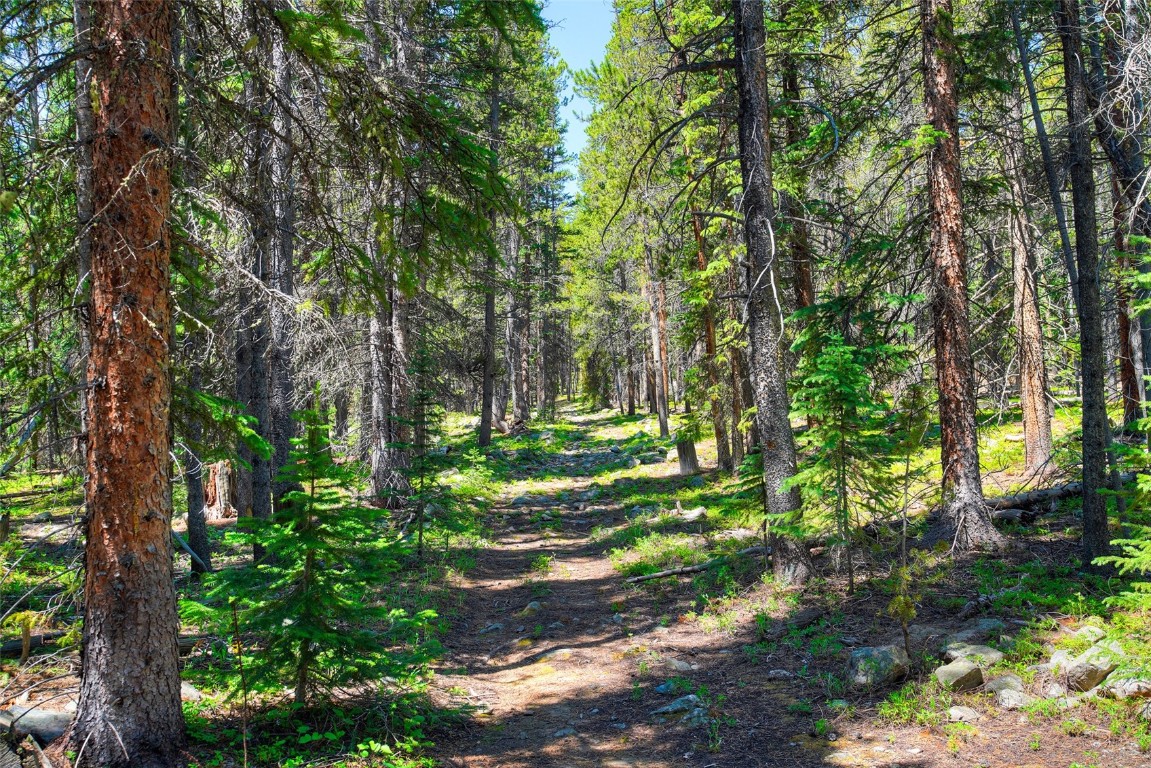 158 Bryce Estates Road Breckenridge, CO 80424 - Photo 25 of 36 a view of backyard with green space
