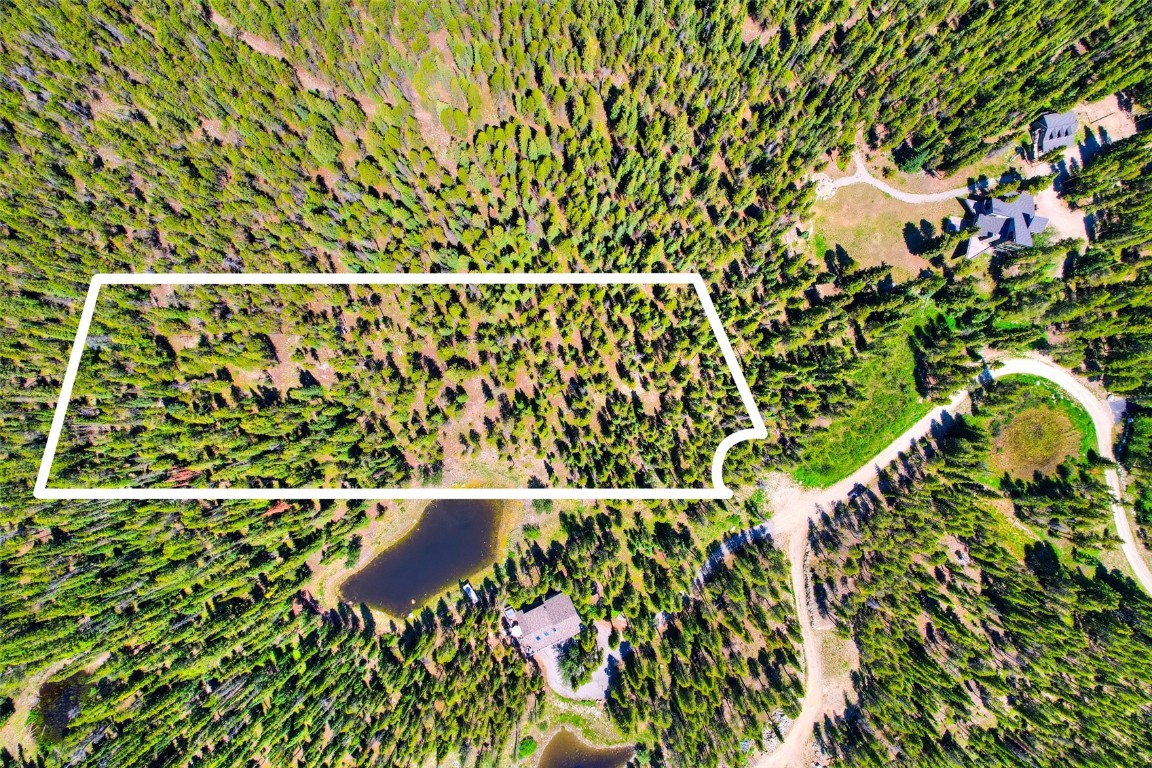 158 Bryce Estates Road Breckenridge, CO 80424 - Photo 3 of 36 a close up of a plant