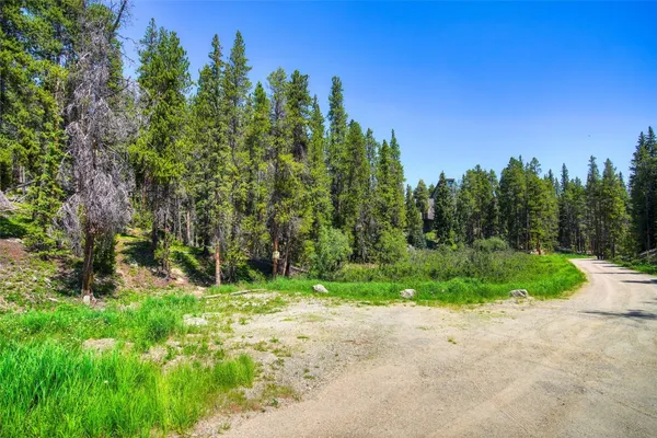 a view of forest