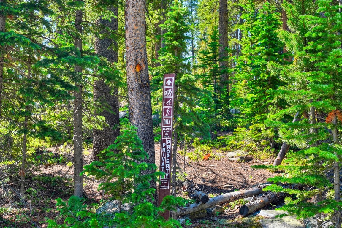 158 Bryce Estates Road Breckenridge, CO 80424 - Photo 34 of 36 a view of forest