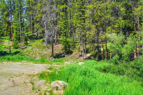 a view of a yard