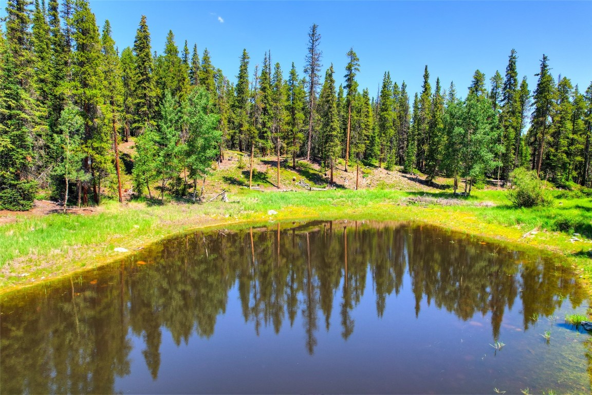 158 Bryce Estates Road Breckenridge, CO 80424 - Photo 7 of 36 a view of a yard with an trees