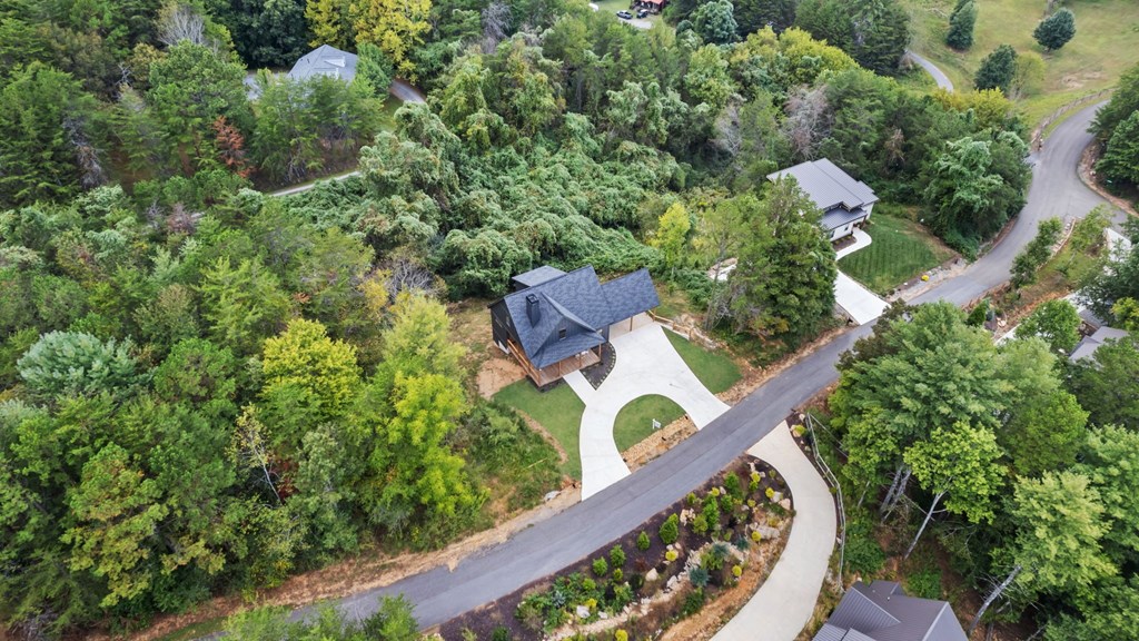 269 Old Orchard Road Ellijay, GA 30536 - Photo 16 of 17 a view of a garden with plants