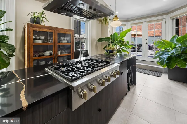 a kitchen with a stove and a potted plant