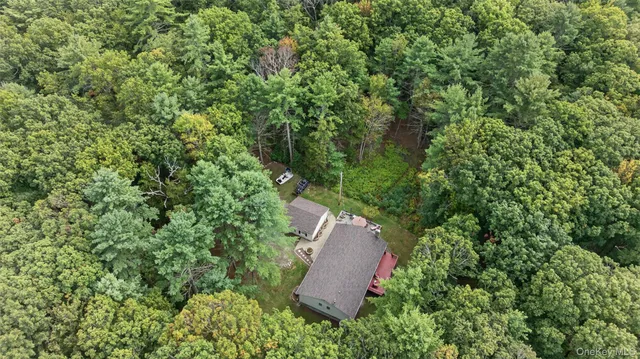 a view of a lush green forest with trees and some houses