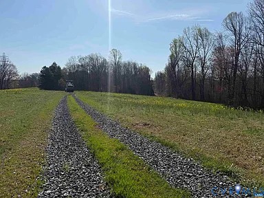 0 Paynes Pond Road Scottsville, VA 24590 - Photo 22 of 44