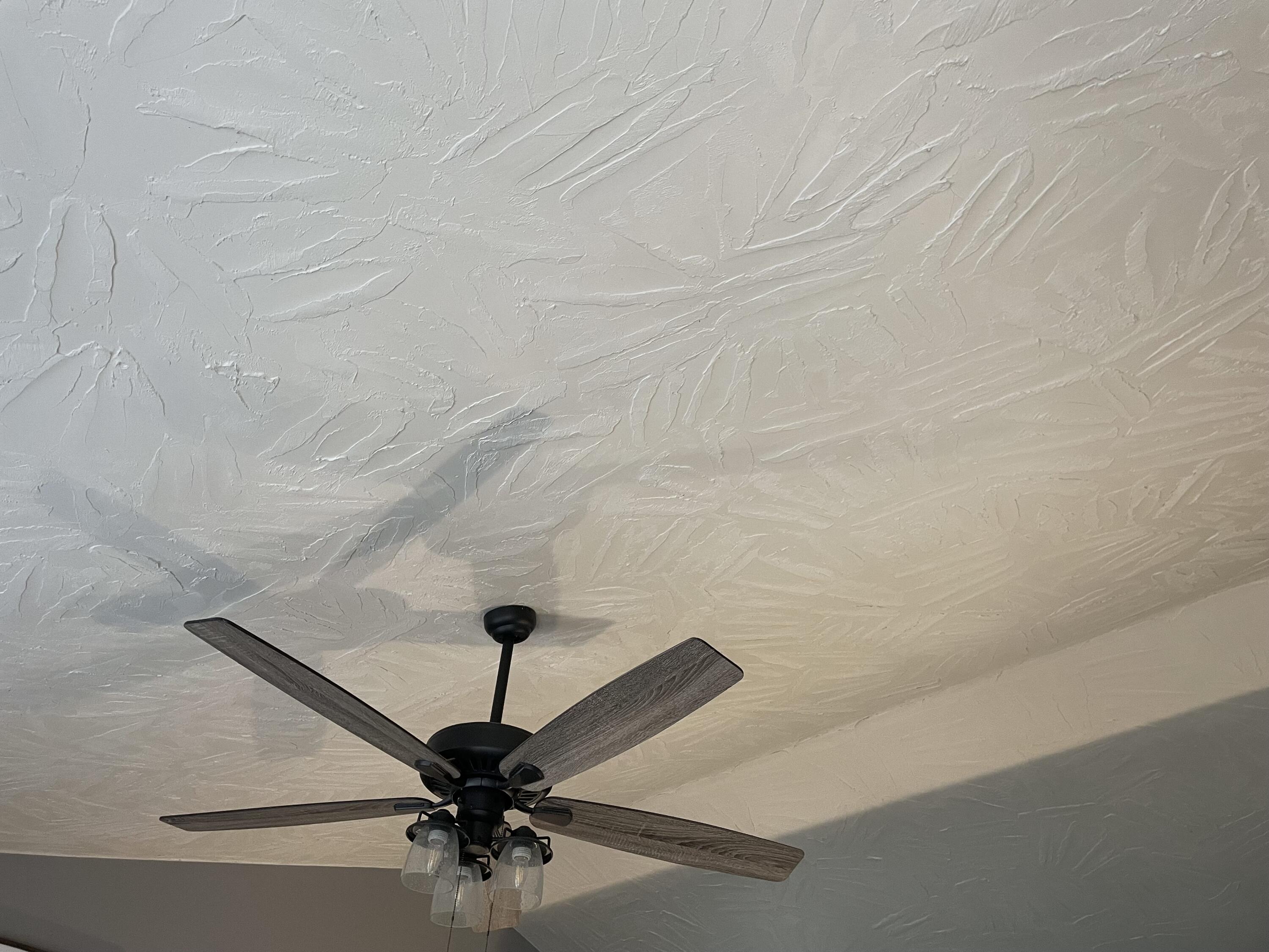 1236 Carroll Road Goodview, VA 24095 - Photo 13 of 79 ceilings