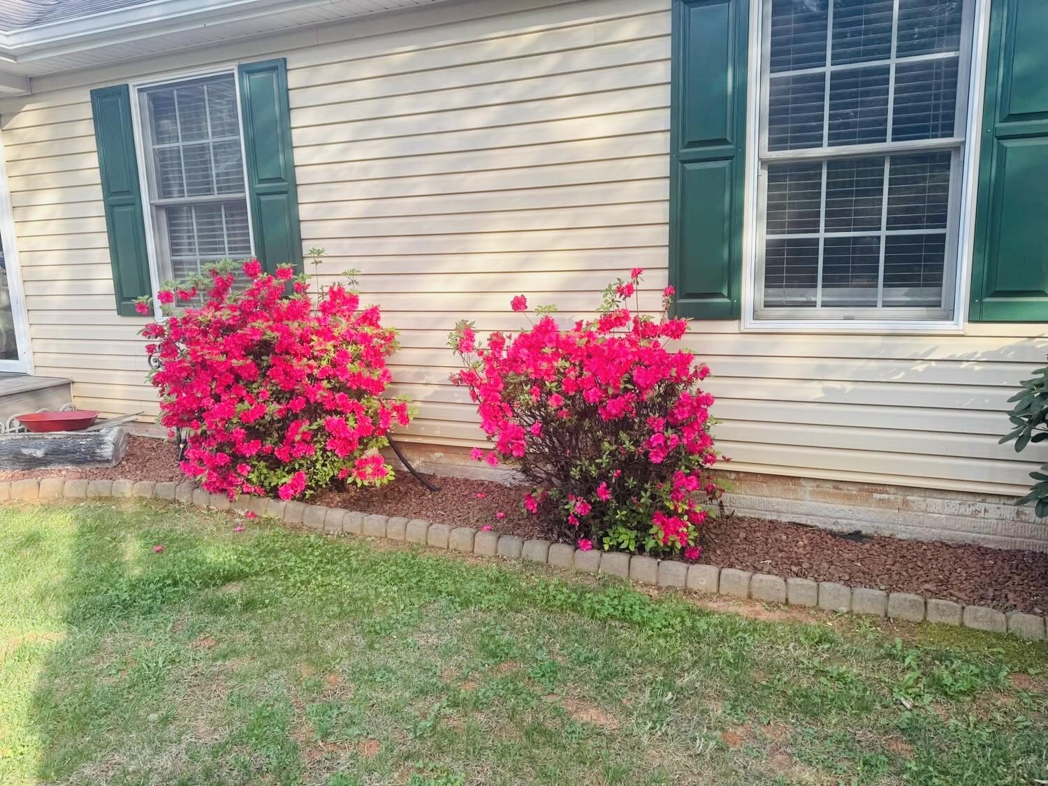 1236 Carroll Road Goodview, VA 24095 - Photo 3 of 79 Carroll Rd- front azaleas