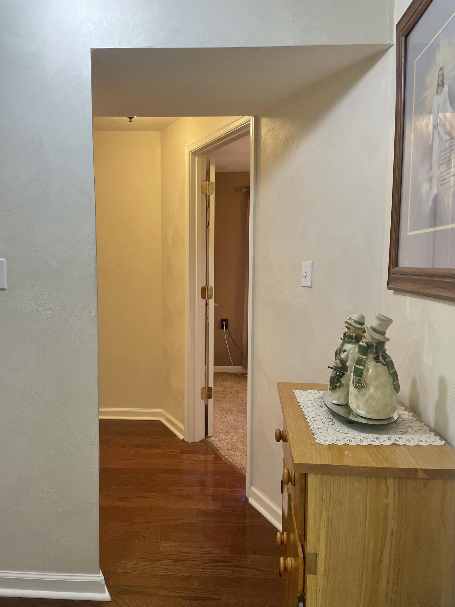 1236 Carroll Road Goodview, VA 24095 - Photo 36 of 65 downstairs hallway
