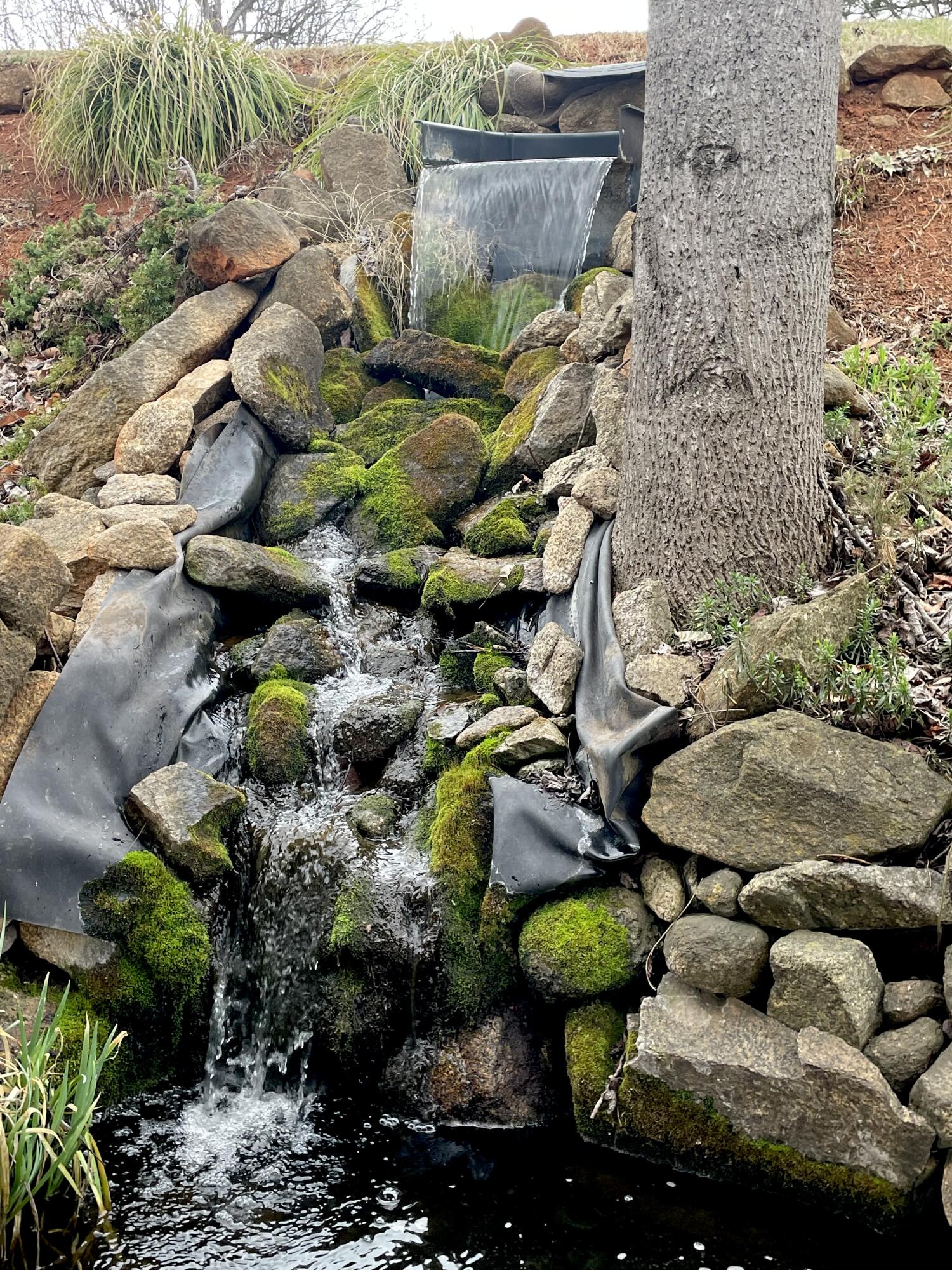 1236 Carroll Road Goodview, VA 24095 - Photo 6 of 65 waterfall:pond