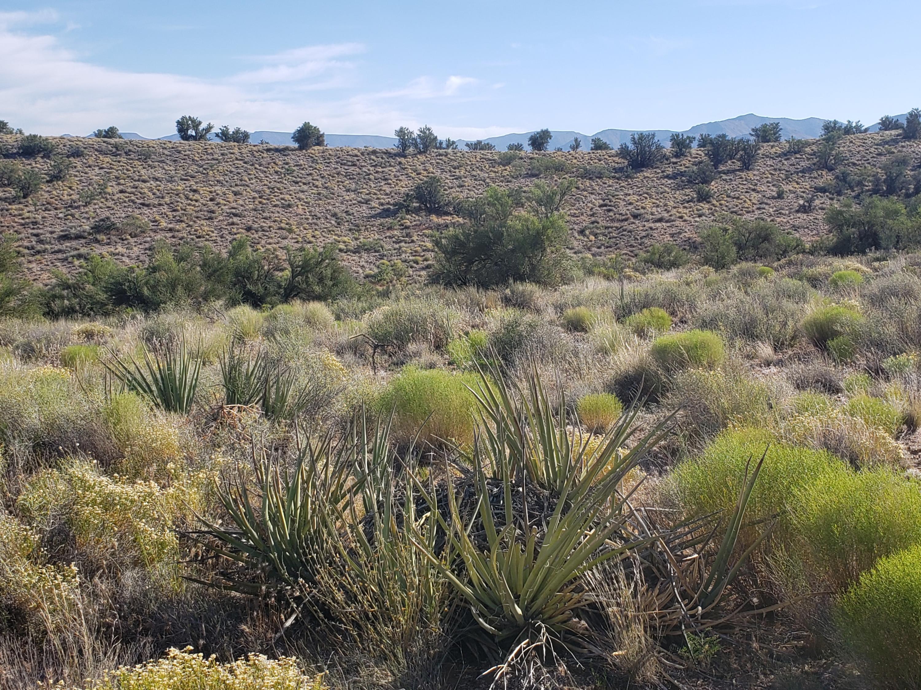 0 South Rolling Stone Road Kingman, AZ 86401 - Photo 4 of 16 Sec 1 054