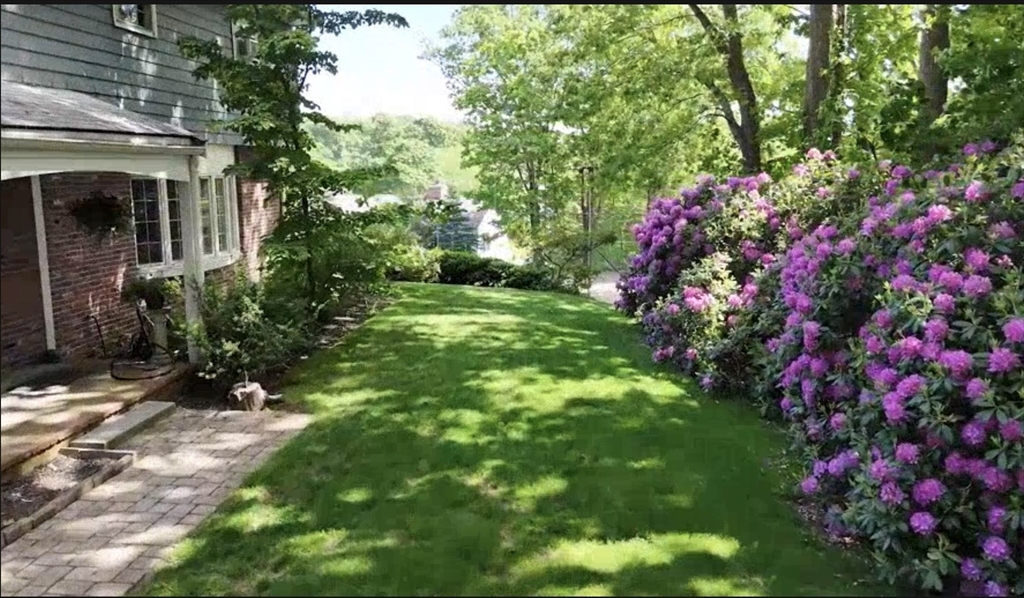 a view of a house with a tree