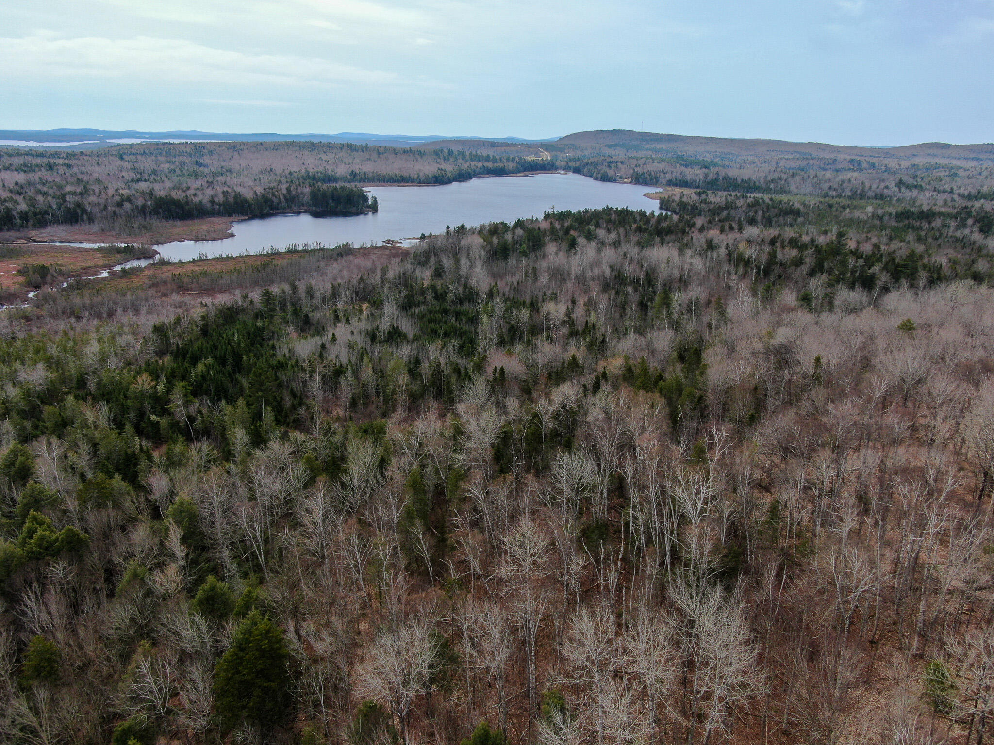 242 Bottle Lake Road Springfield, ME 04487 - Photo 7 of 47 9