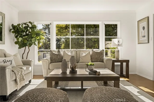 a living room with furniture lamp and a potted plant