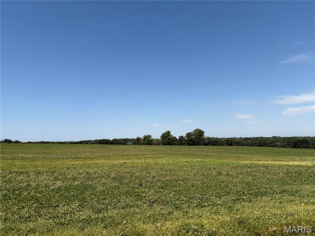 96.59 Acres Rock Road Bellflower, MO 63333 - Photo 20 of 21