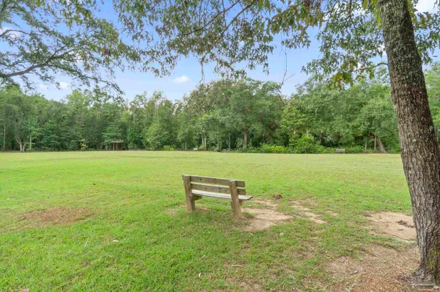 a view of a bench in a garden