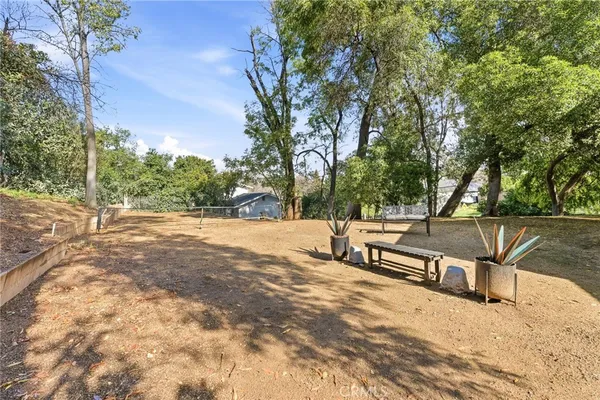 a view of yard with trees