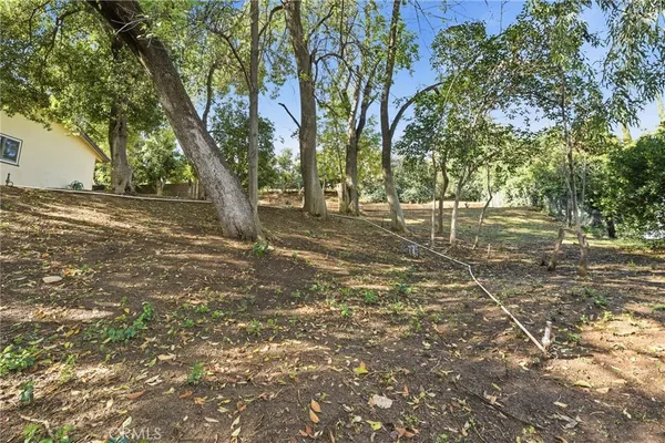 a view of yard with swimming pool and large trees