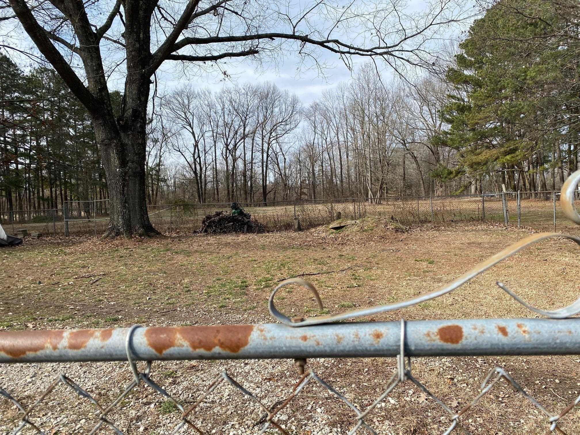 8769 Rankin Branch Road Millington, TN 38053 - Photo 19 of 19