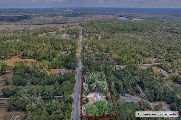 an aerial view of forest