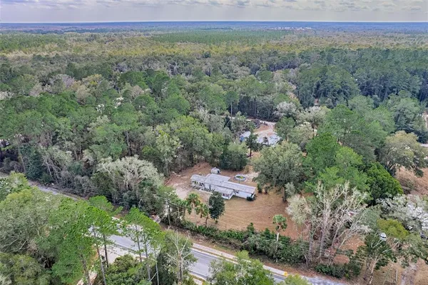 a view of a lush green forest with trees and some houses