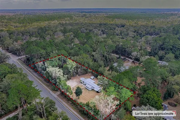 an aerial view of a forest