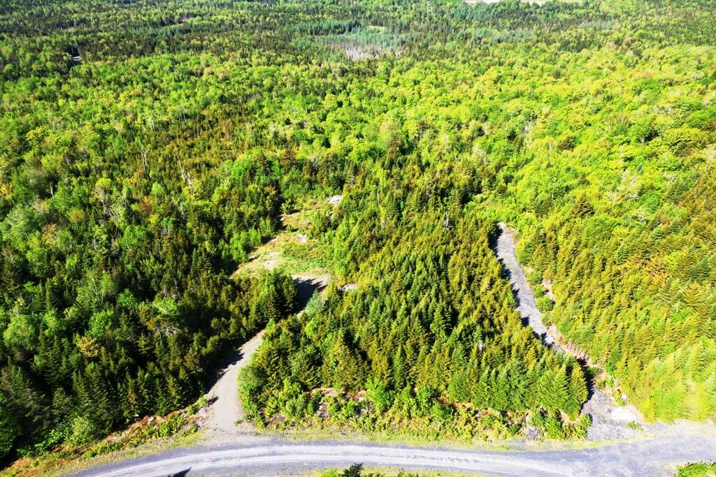 Tbd Tbd Alpine Ridge, Unit LOT 11 Greenville, ME 04441 - Photo 5 of 32 DJI_0182