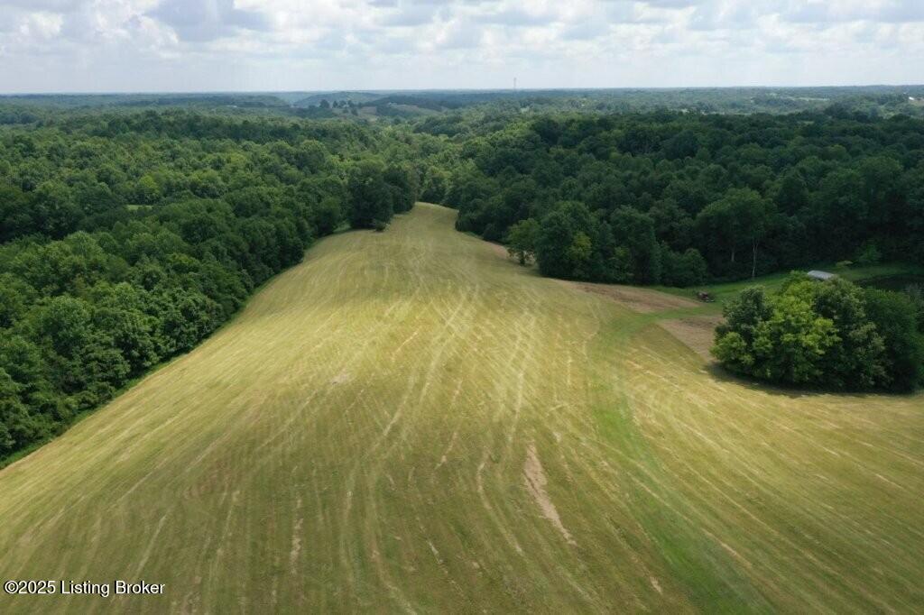 794 Highview Church Road Bloomfield, KY 40008 - Photo 26 of 56 DJI_0431