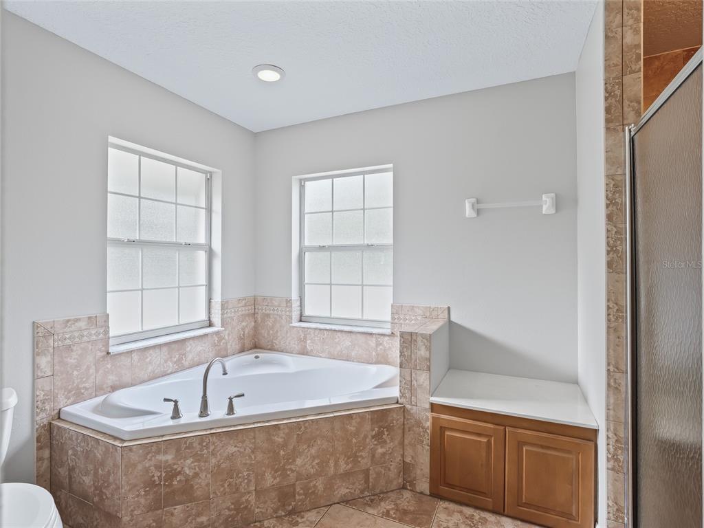 8234 Highway 301 Bushnell, FL 33513 - Photo 17 of 52 a bathroom with a tub a sink and a window
