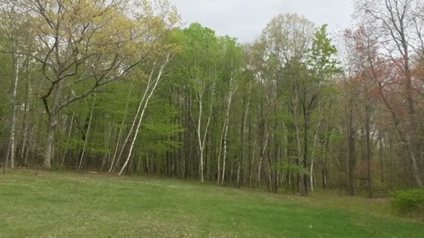 Lot 2 Mountain Road Hampden, MA 01036 - Photo 1 of 5 Gallery Image 1