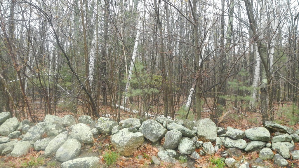 Lot 2 Mountain Road Hampden, MA 01036 - Photo 4 of 5 Gallery Image 4