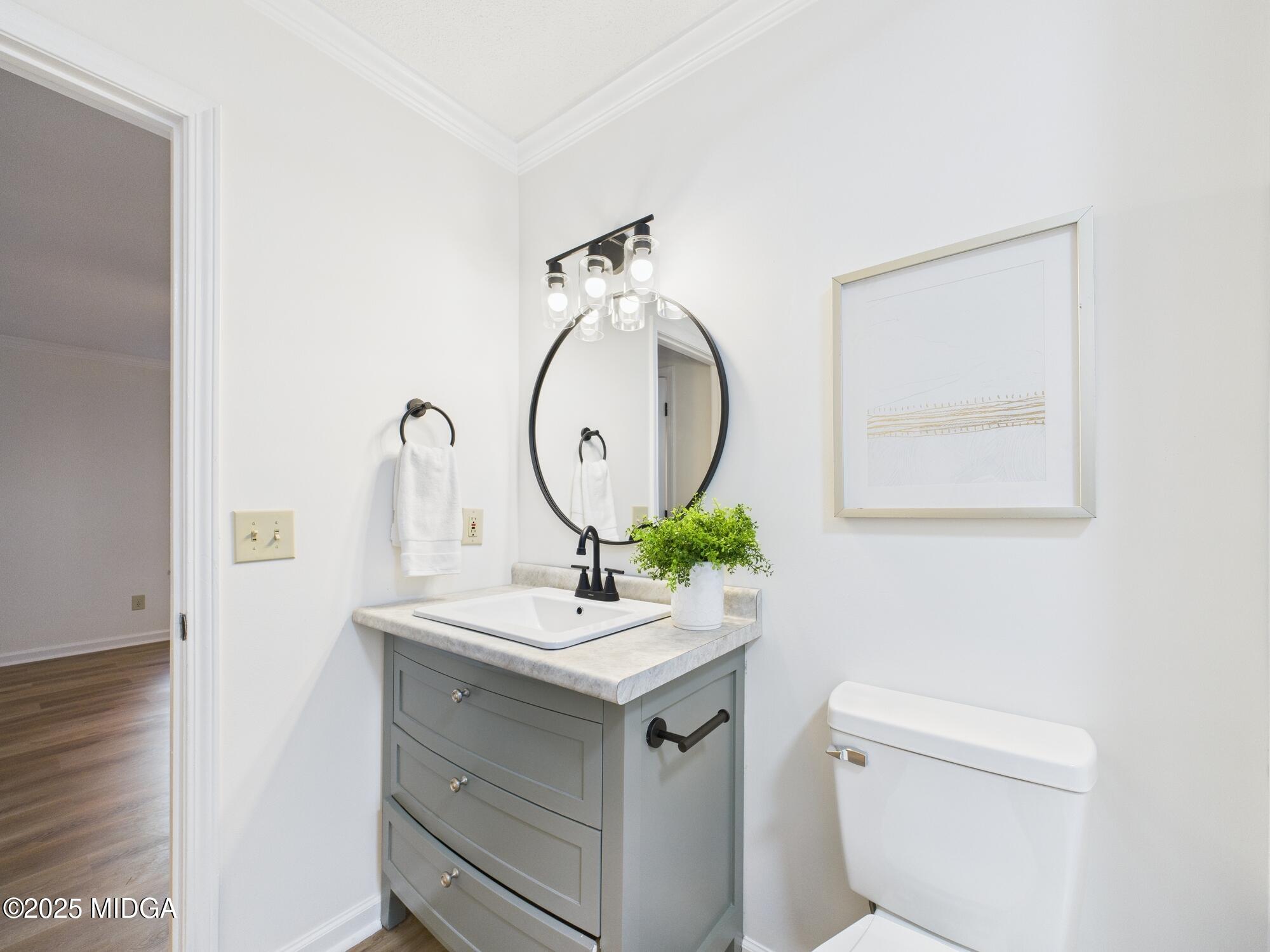 331 Marjane Drive Macon, GA 31210 - Photo 31 of 43 a bathroom with a sink mirror vanity and toilet