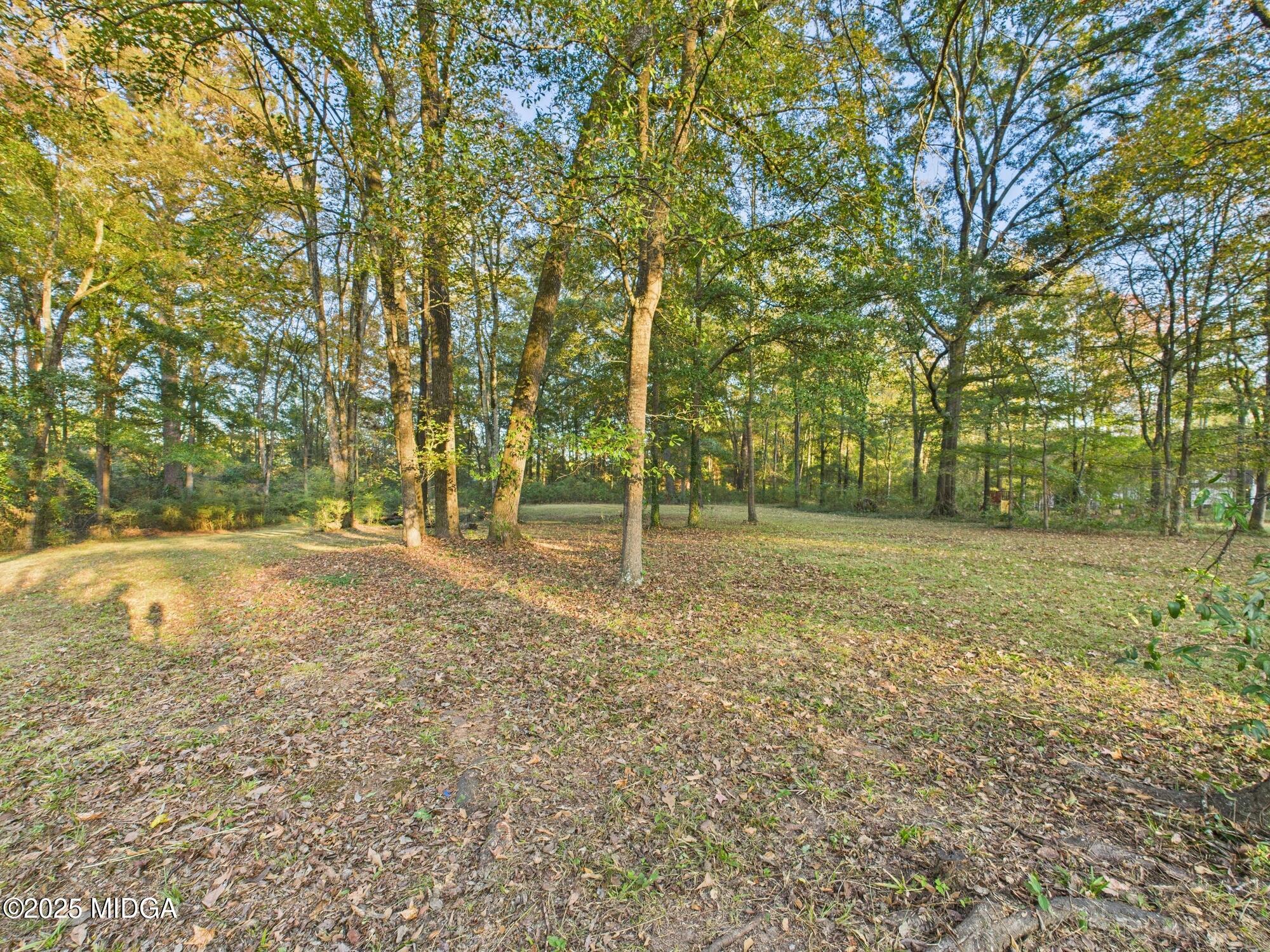 331 Marjane Drive Macon, GA 31210 - Photo 38 of 43 a view of a yard with trees
