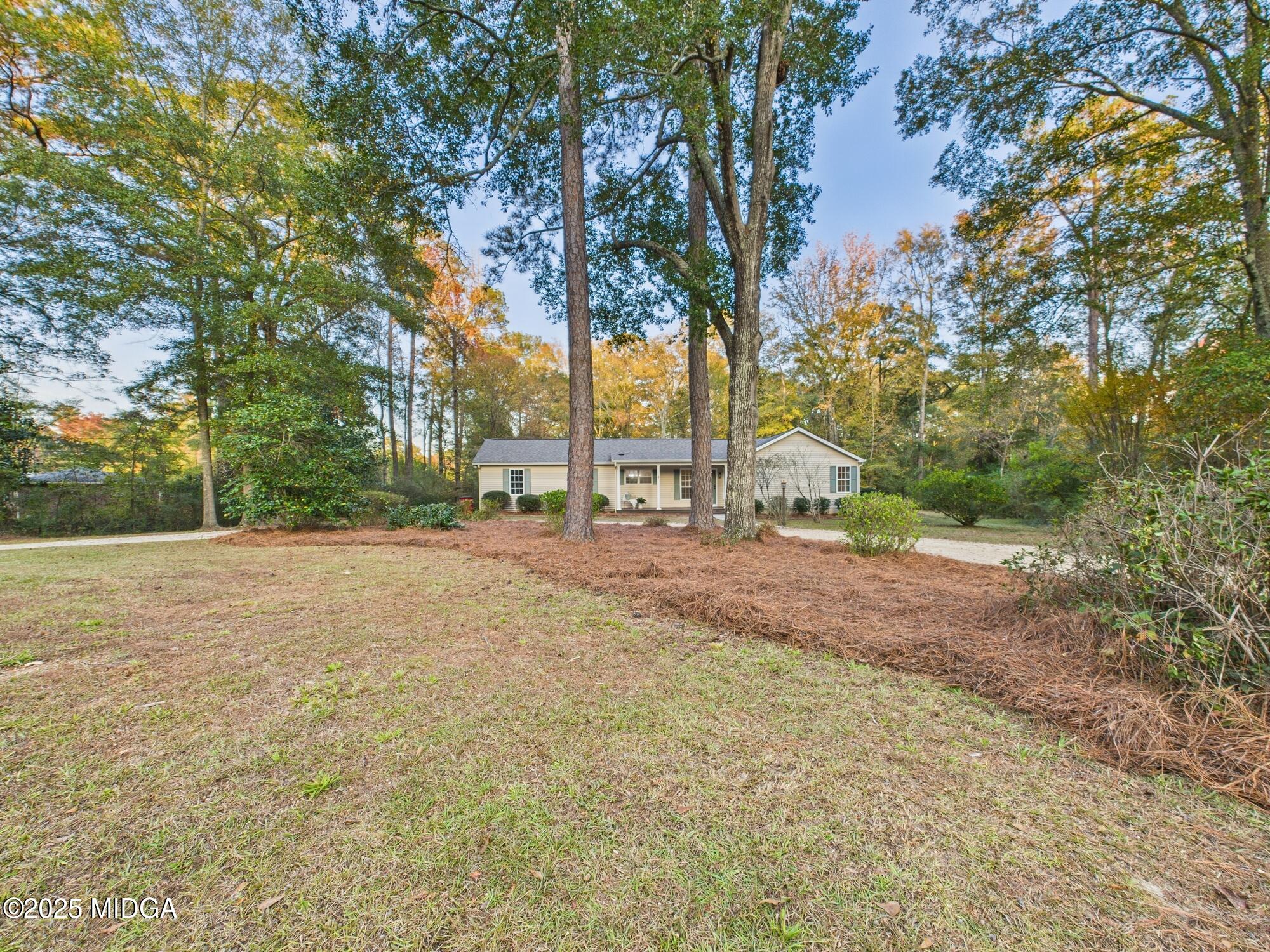 331 Marjane Drive Macon, GA 31210 - Photo 41 of 43 a view of large space with trees