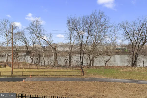 a view of yard with large trees