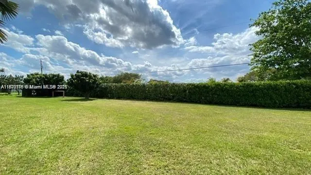 a view of a yard with a lake