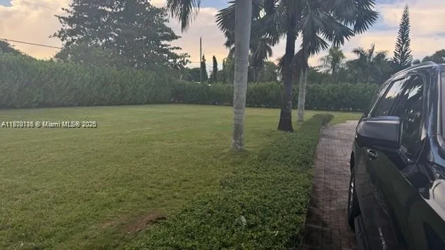 a view of a swimming pool with a garden
