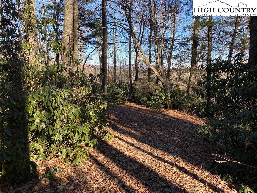 Lot 29 Milton Brown Heirs Road Boone, NC 28607 - Photo 1 of 7 Gallery Image 1
