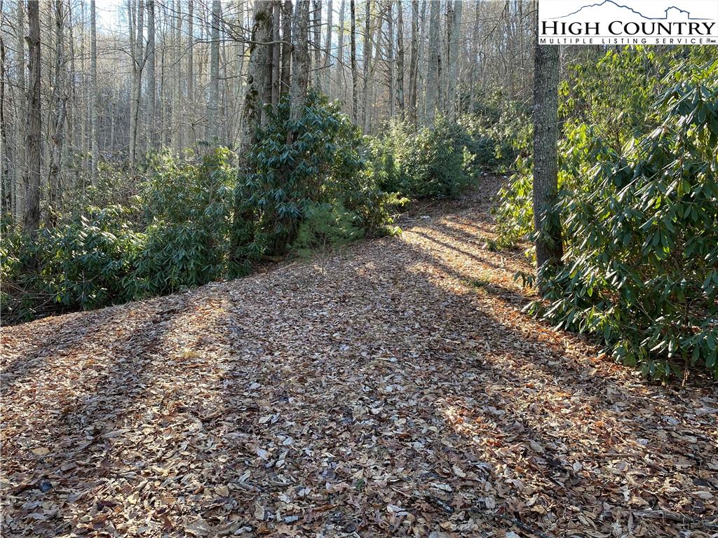 Lot 29 Milton Brown Heirs Road Boone, NC 28607 - Photo 3 of 7 Gallery Image 3